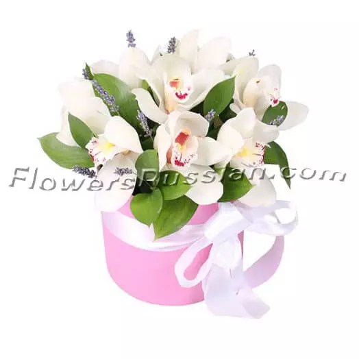 Bouquet Tenderness Of Orchids » Flower Delivery To Russia