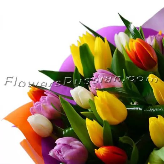 Flowers Amsterdam Delivery Best Flower Site