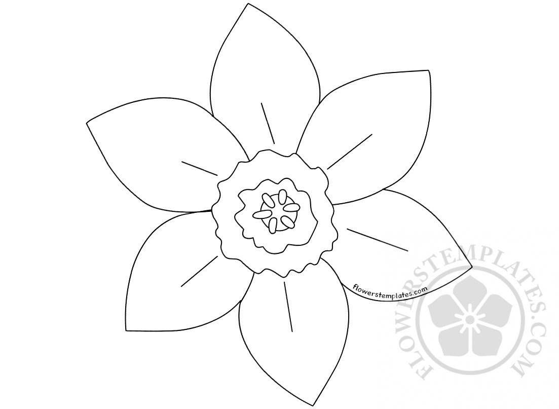 daffodil template clipart best - the 25 best ideas about daffodil