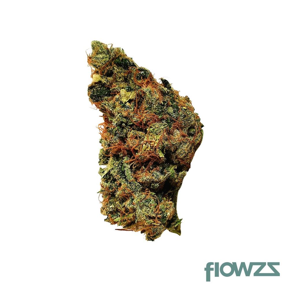 Relecan Hybrid Strong Gorilla Glue zum besten Preis