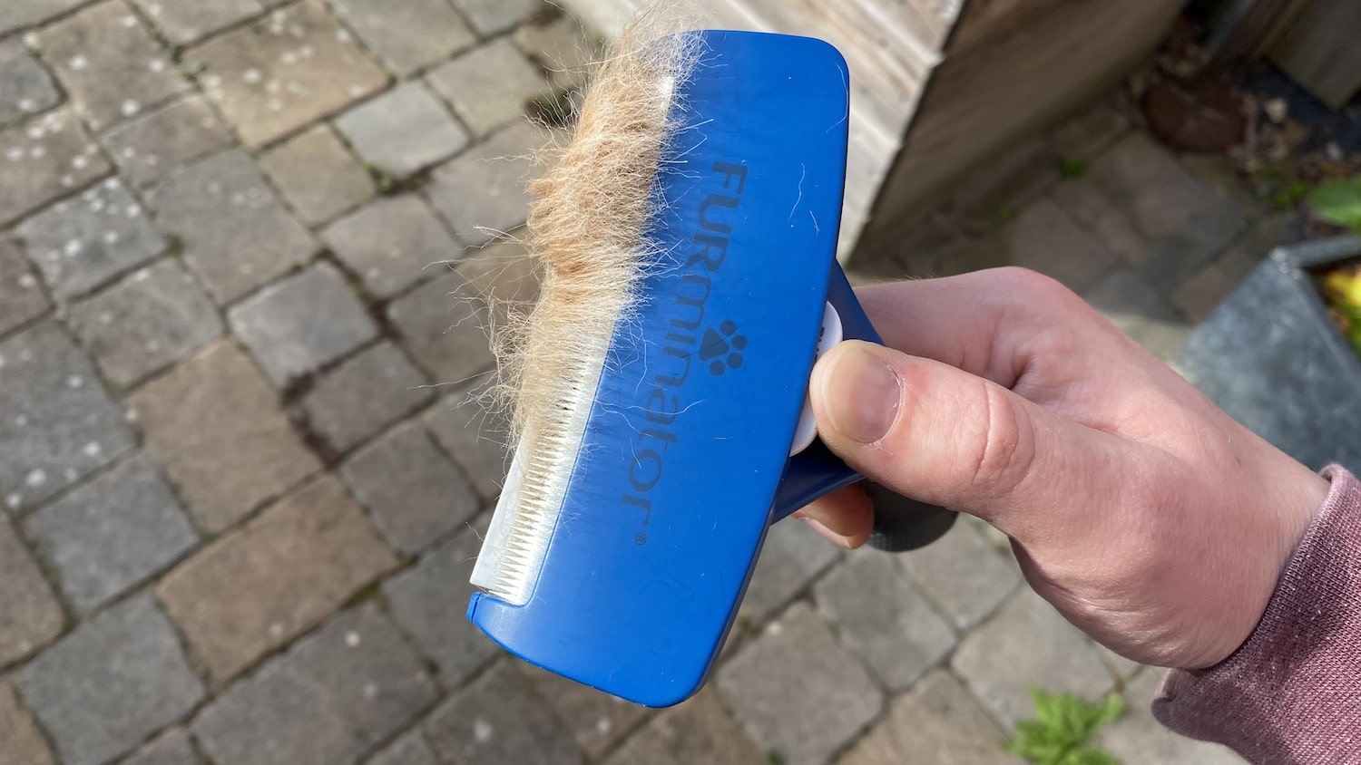 Furminator „de Shedding“ im Test Floxik Magazin