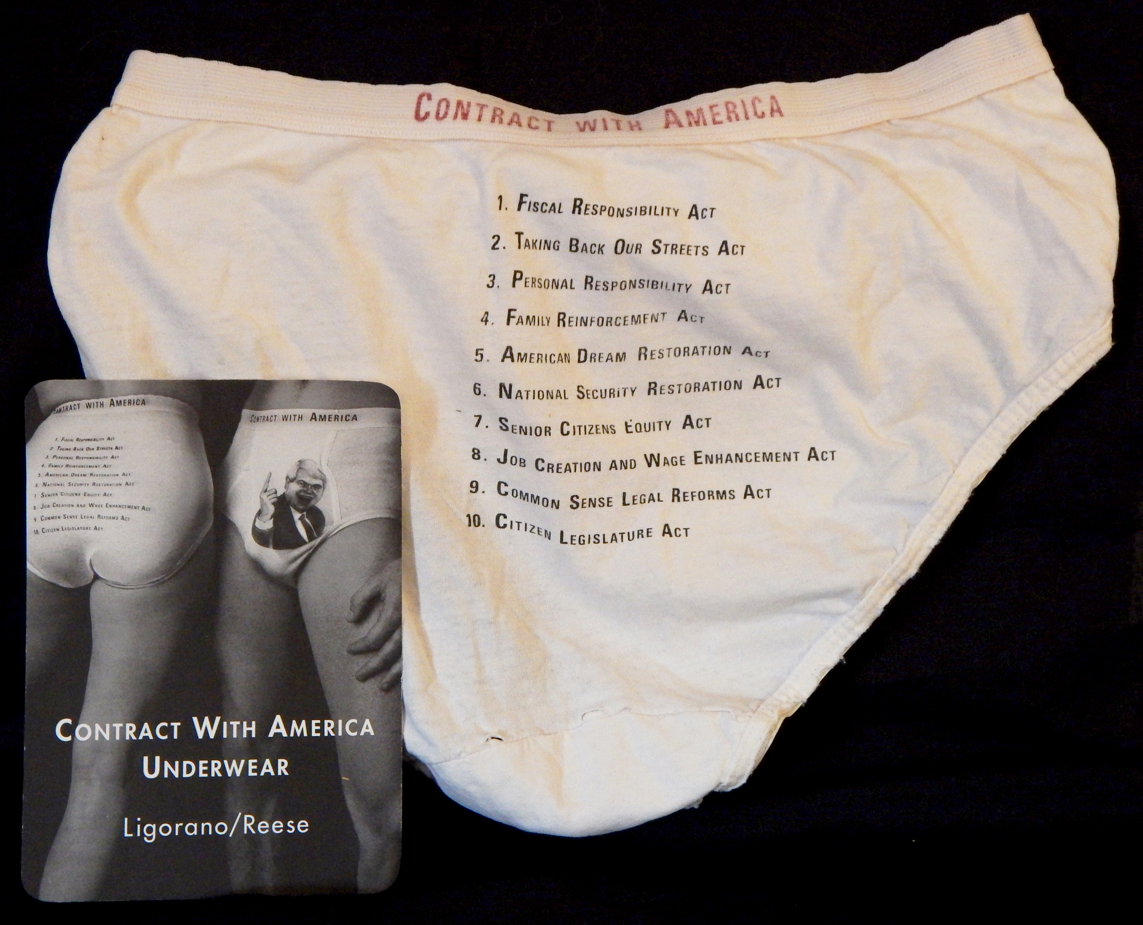 Contract with America women’s underpants with details of the contract