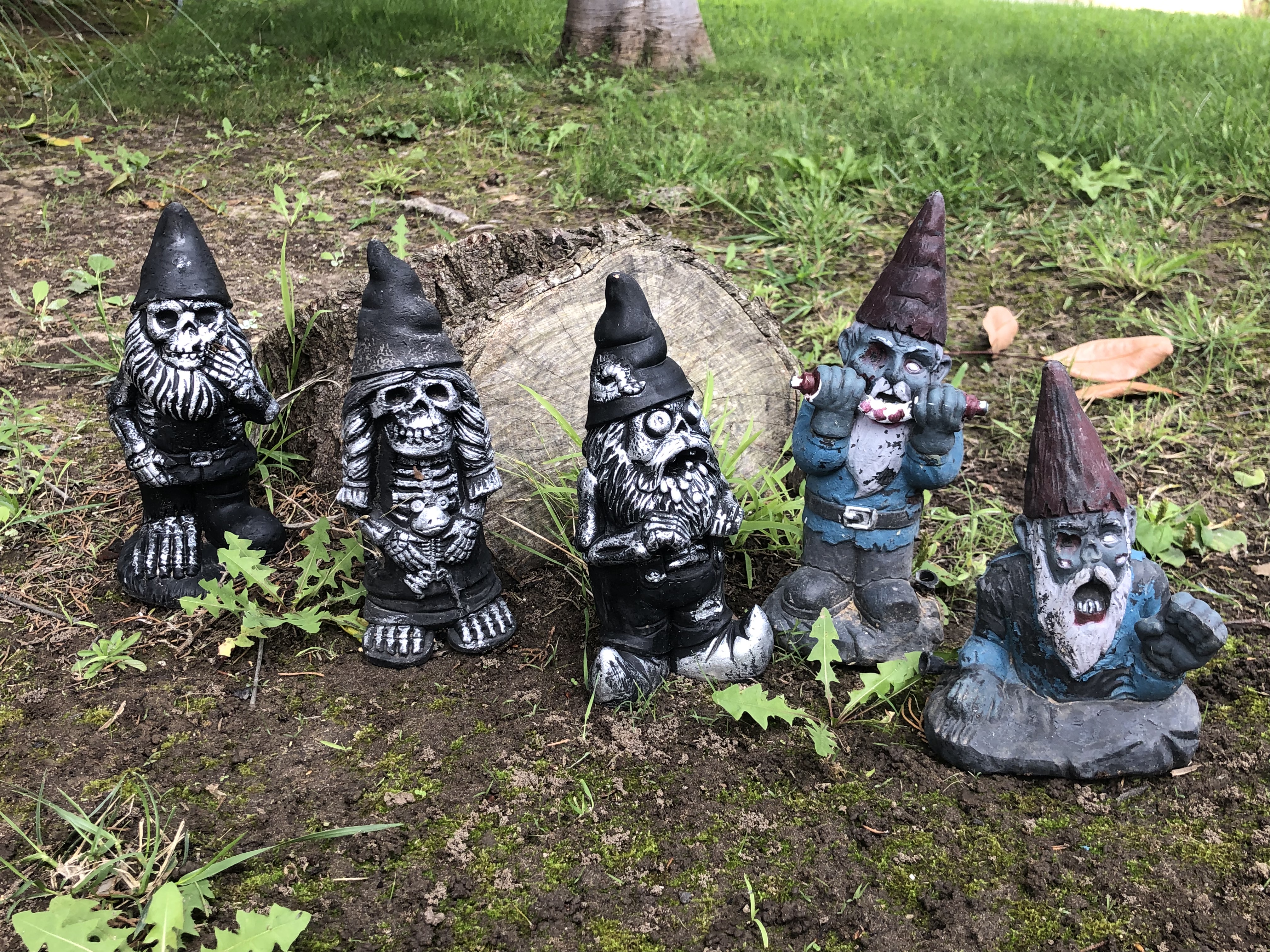 Zombie gnomes, 2019 my front yard. Gallery of Folklore & Popular