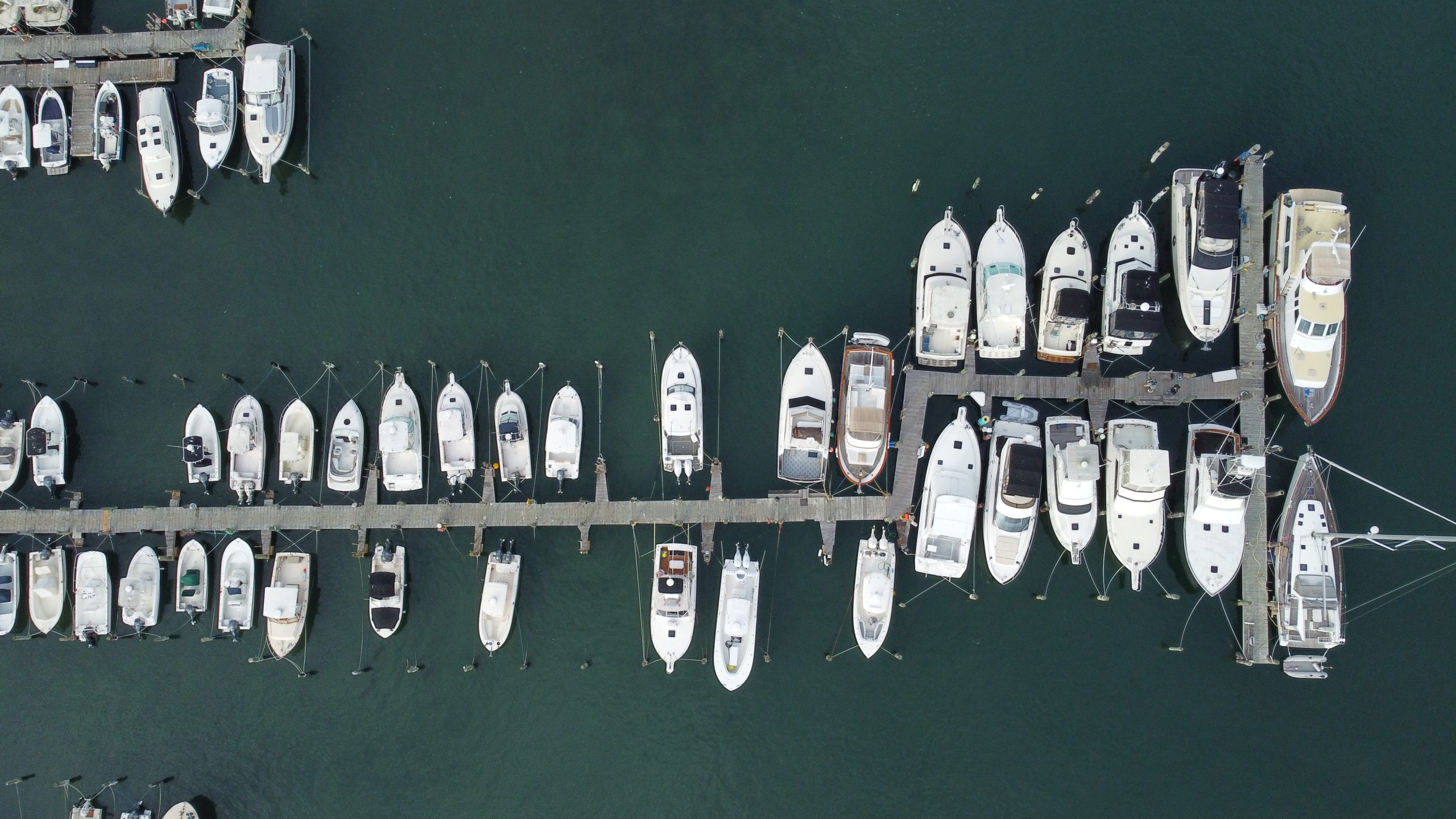 Photo Gallery F.L. Tripp & Sons, Inc