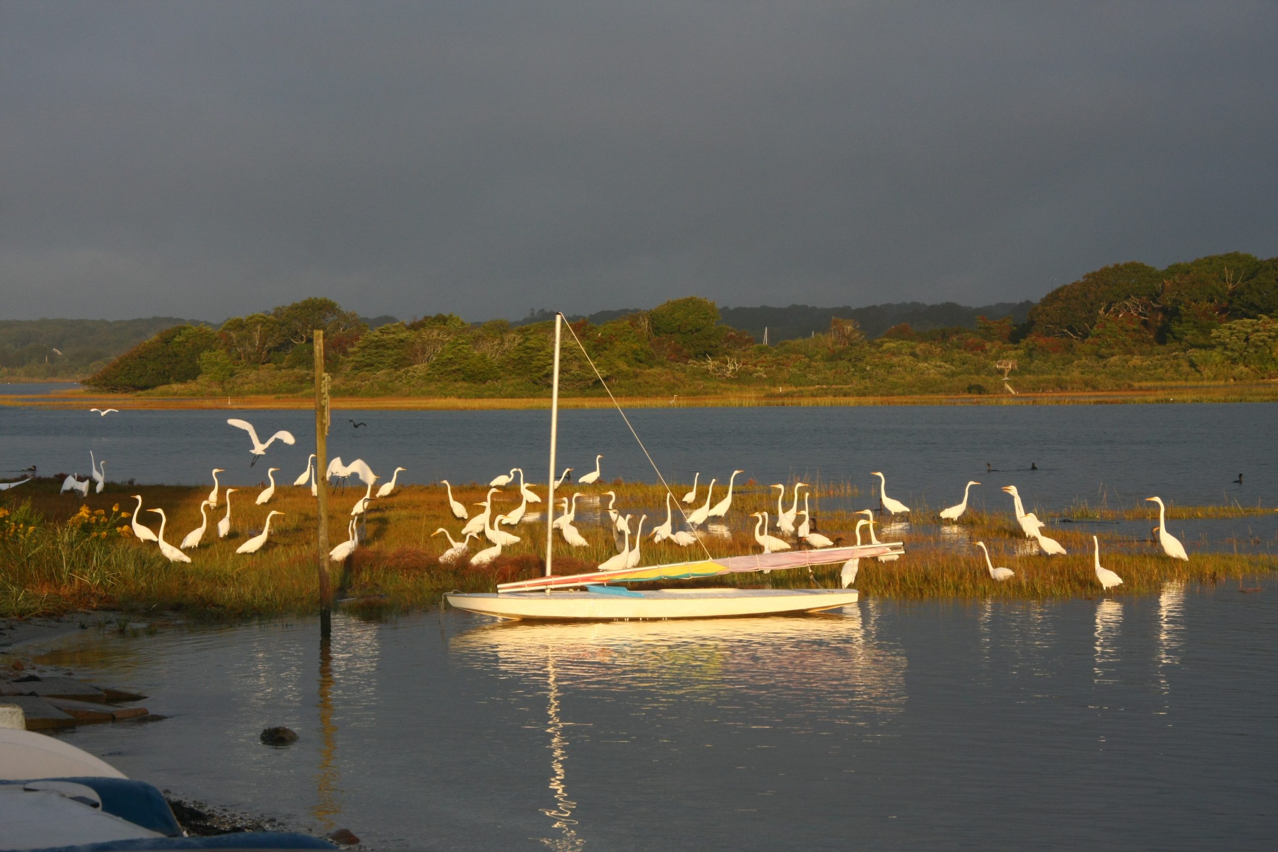 Photo Gallery F.L. Tripp & Sons, Inc