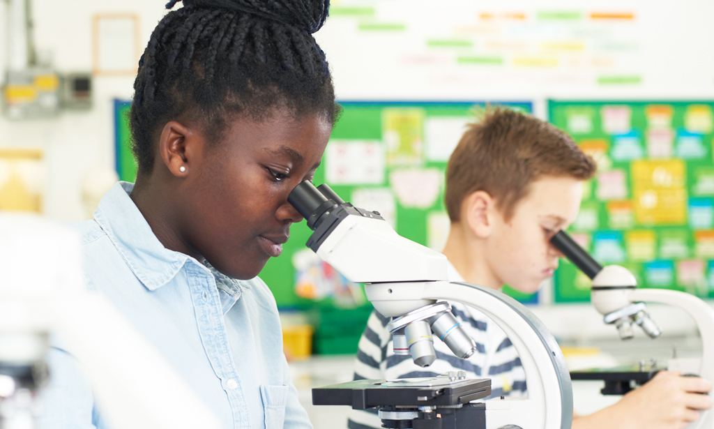 Digital Science Education Resources Fluent Research