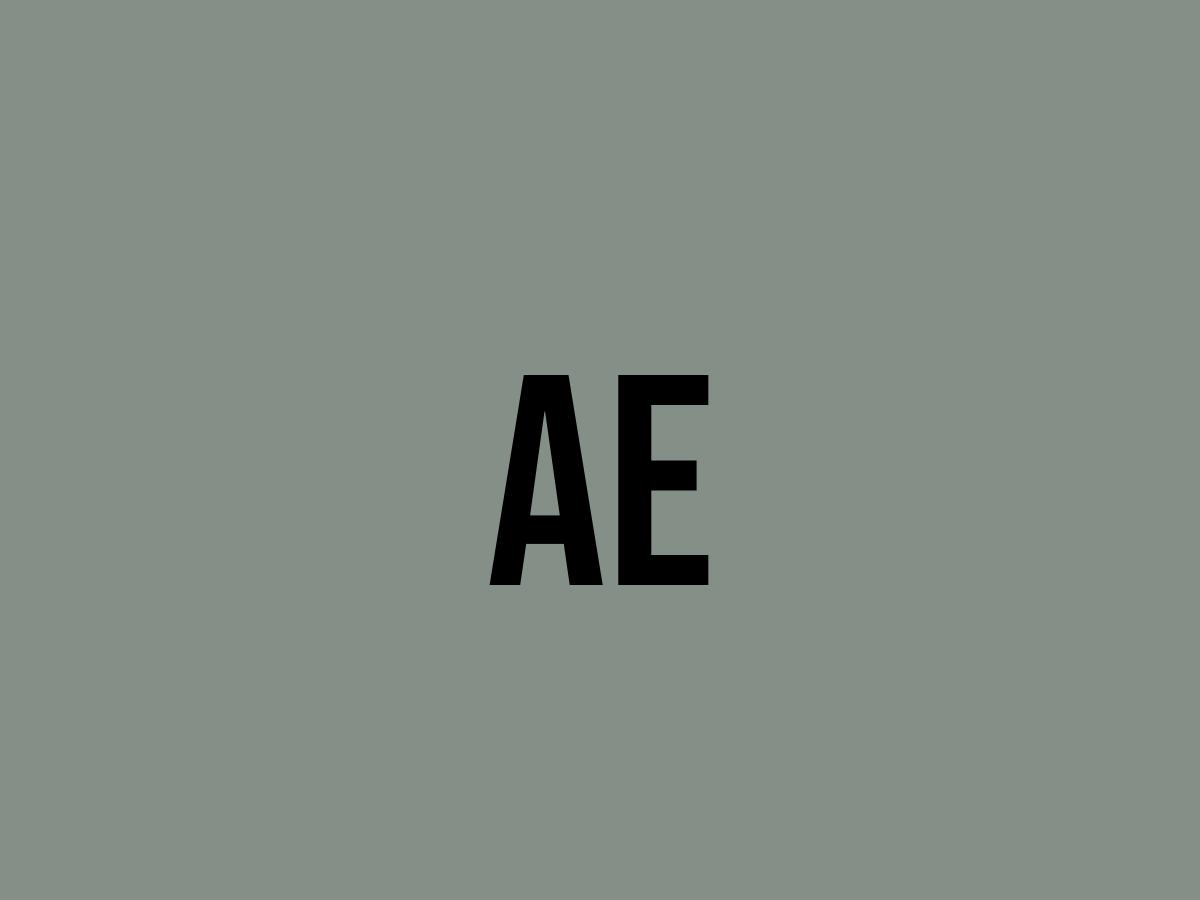 What Does Ae Mean? Meaning, Uses and More FluentSlang