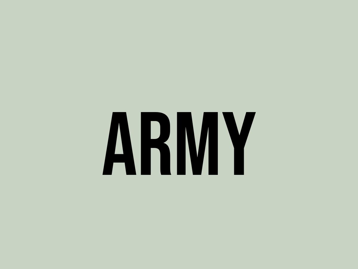What Does Army Mean? Meaning, Uses and More FluentSlang