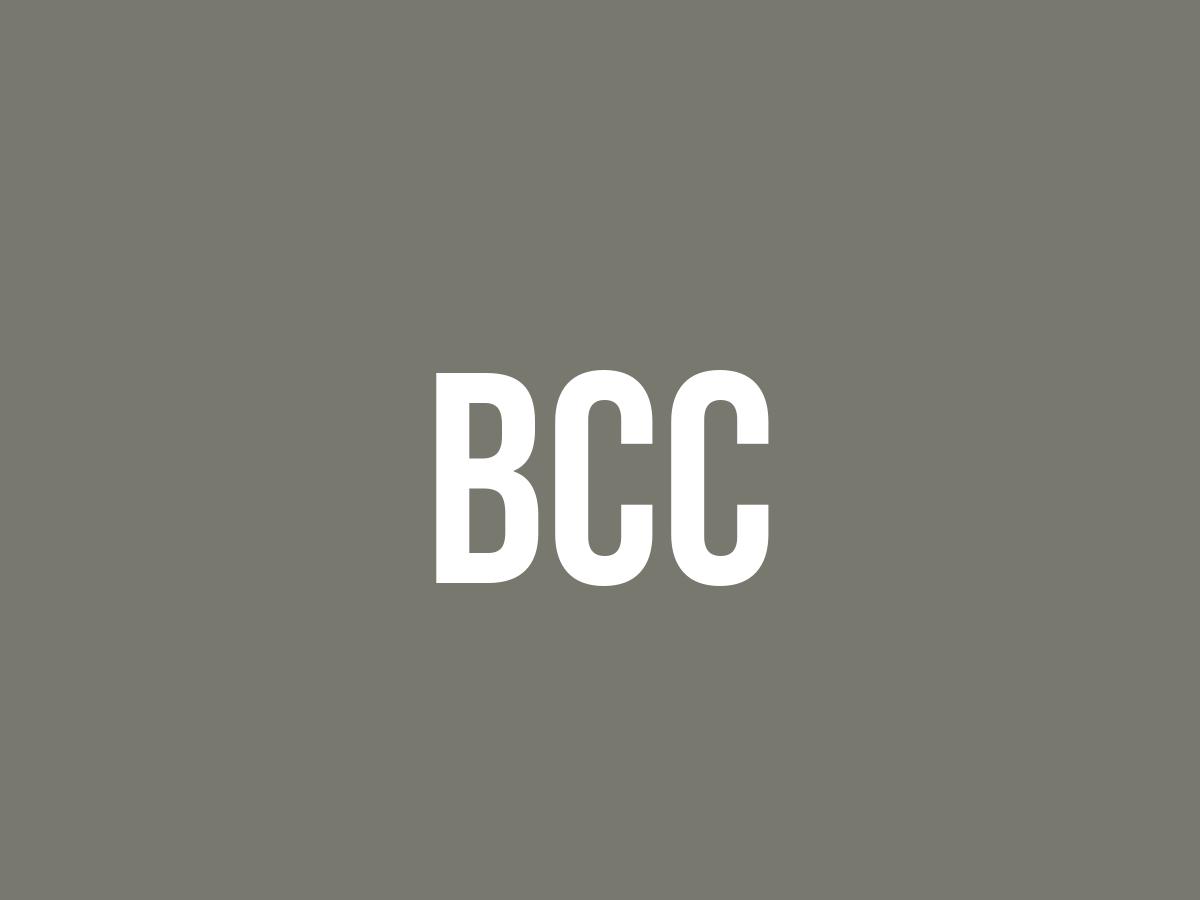 What Does Bcc Mean? Meaning, Uses and More FluentSlang