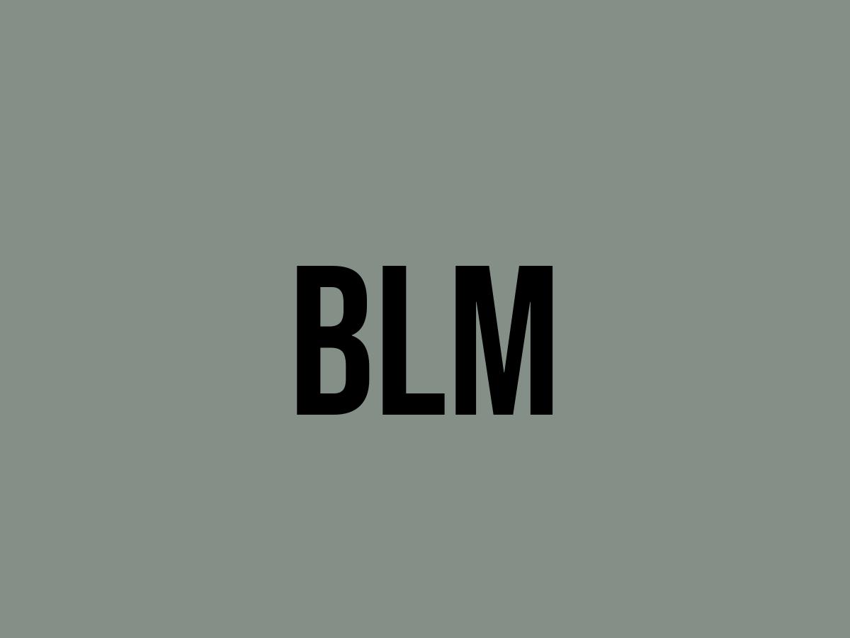 What Does Blm Mean? Meaning, Uses and More FluentSlang