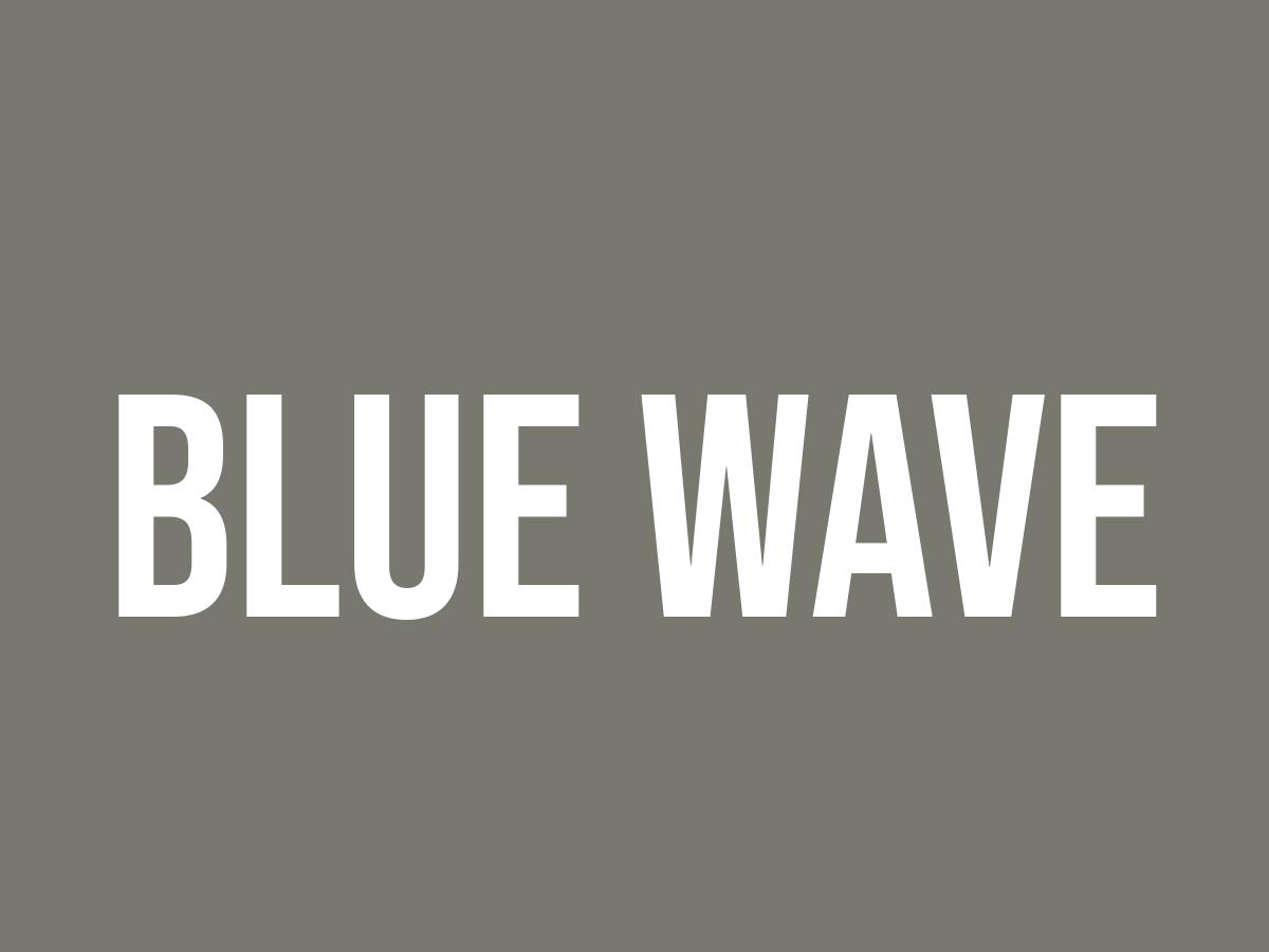 What Does Blue Wave Mean? Meaning, Uses and More FluentSlang