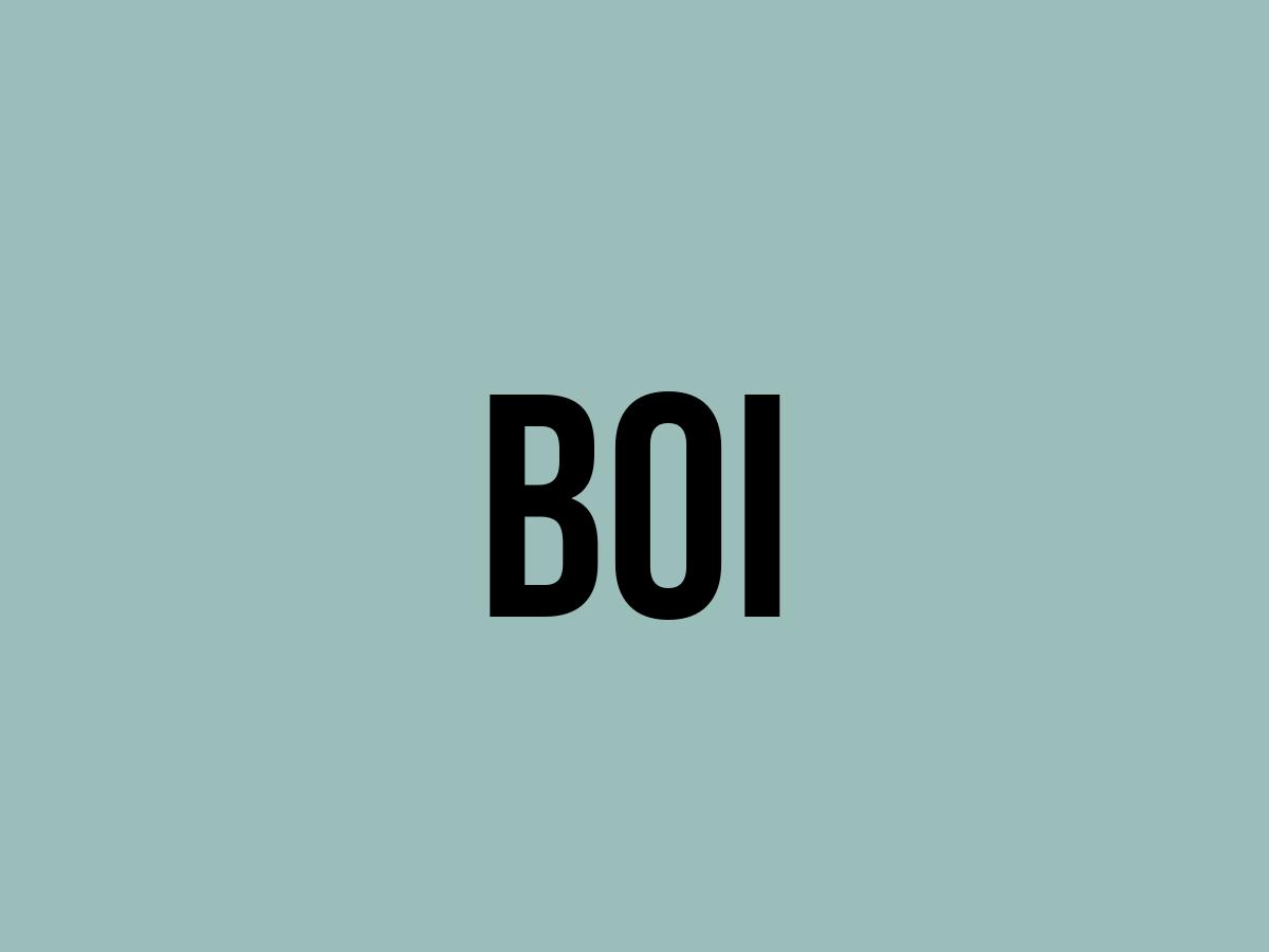 What Does Boi Mean? Meaning, Uses and More FluentSlang