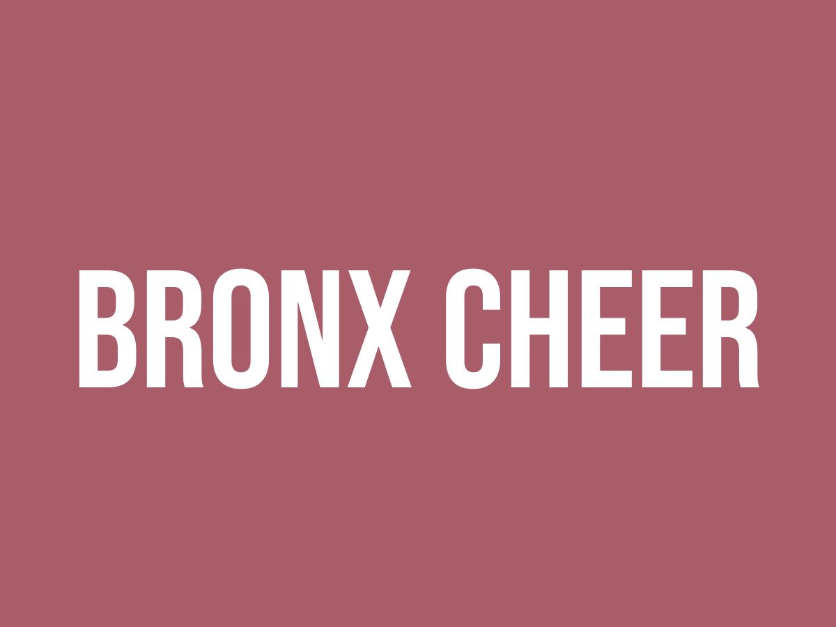 What Does Bronx Cheer Mean? Meaning, Uses and More FluentSlang