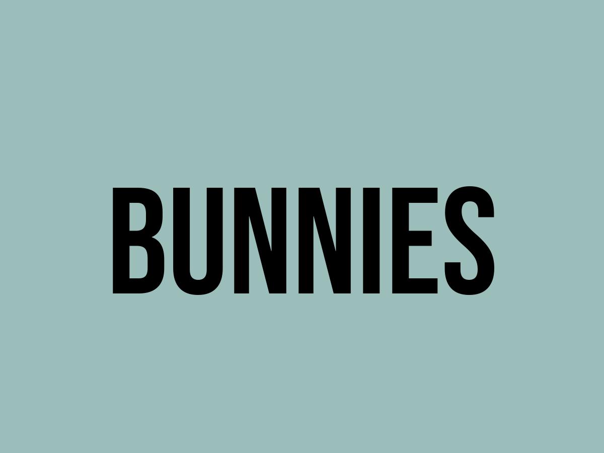 What Does Bunnies Mean? Meaning, Uses and More FluentSlang