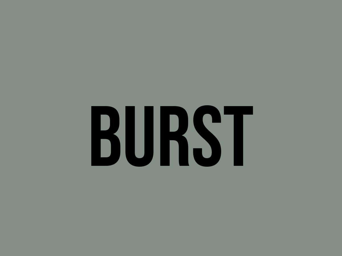 What Does Burst Mean? Meaning, Uses and More FluentSlang