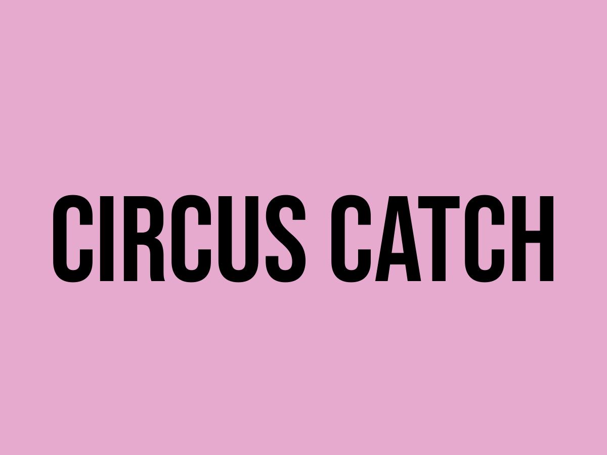 What Does Circus Catch Mean? Meaning, Uses and More FluentSlang