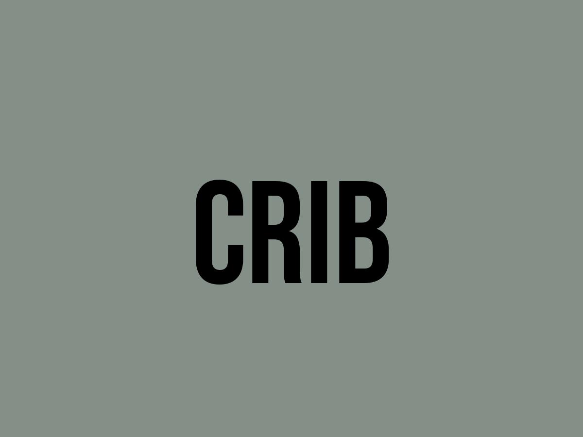 What Does Crib Mean? Meaning, Uses and More FluentSlang