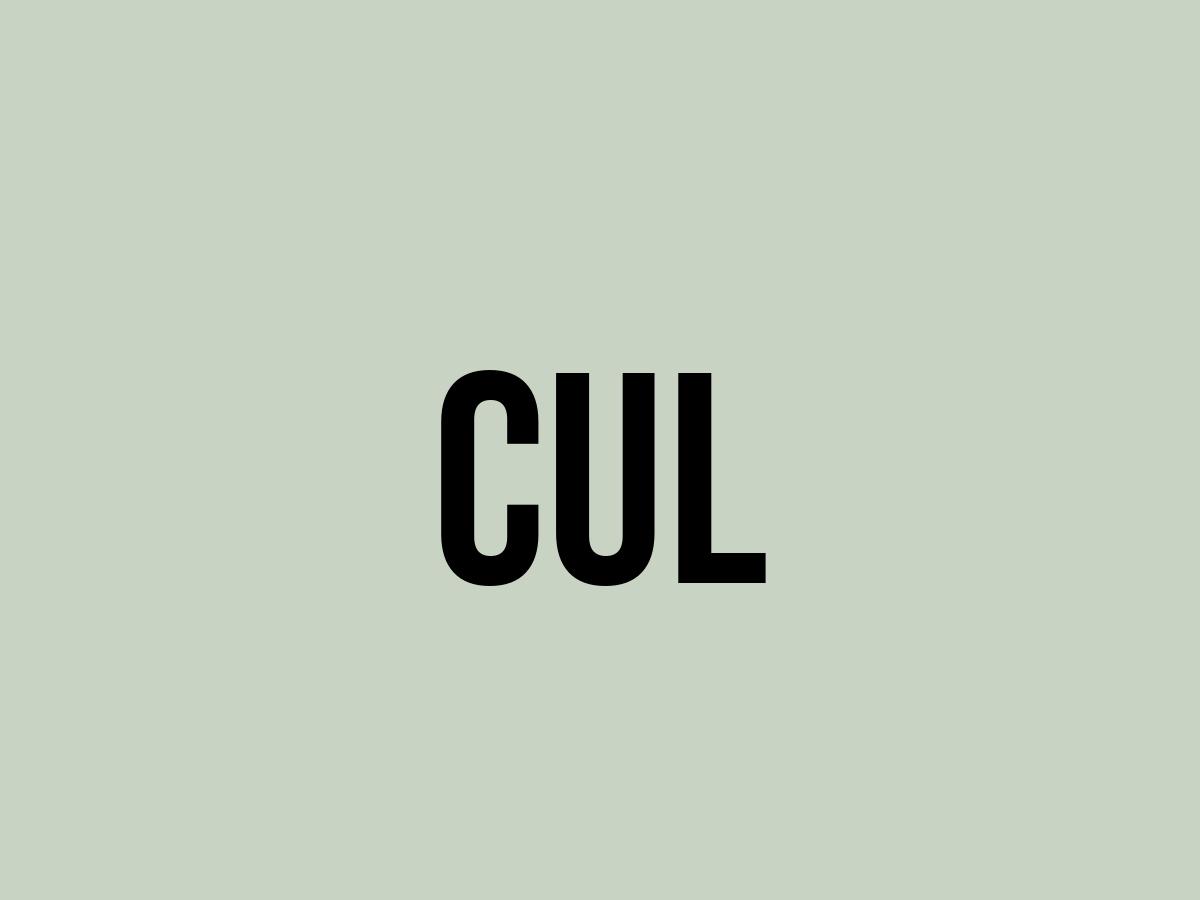 What Does Cul Mean? Meaning, Uses and More FluentSlang