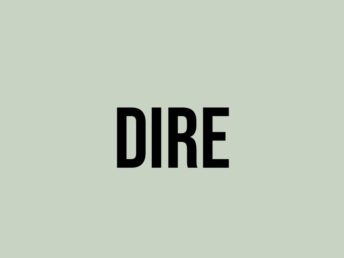 What Does Dire Mean? Meaning, Uses and More FluentSlang