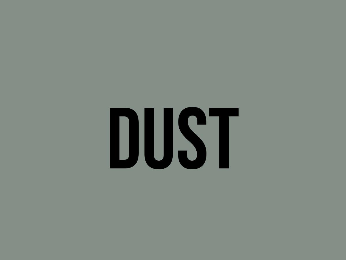 What Does Dust Mean? Meaning, Uses and More FluentSlang