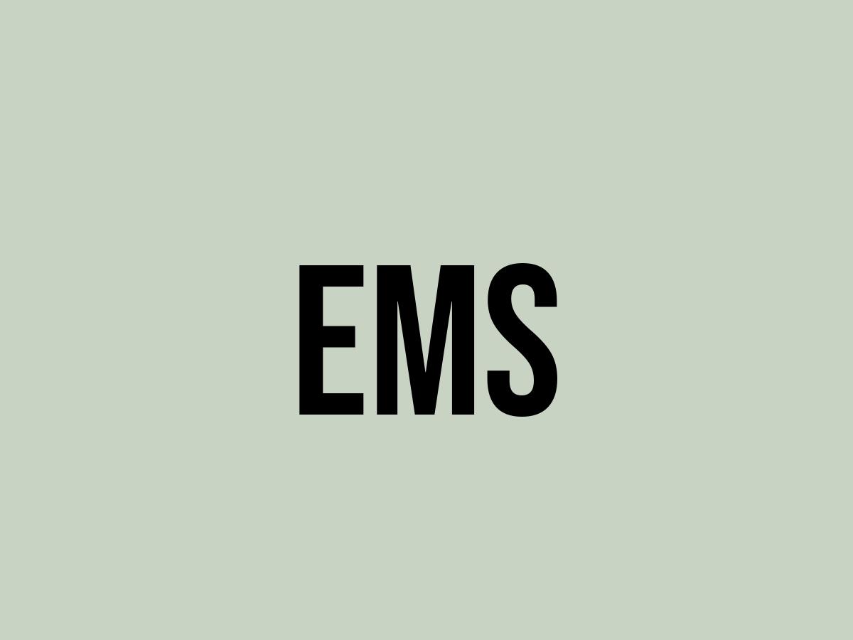 What Does Ems Mean? Meaning, Uses and More FluentSlang