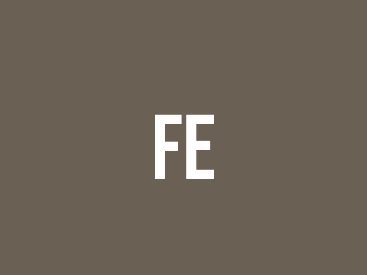 What Does Fe Mean? Meaning, Uses and More FluentSlang