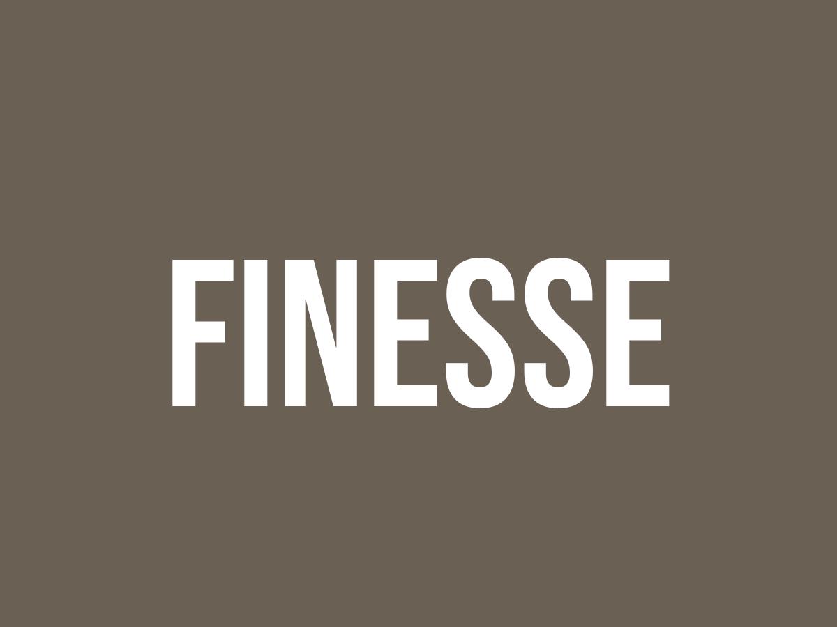 What Does Finesse Mean? Meaning, Uses and More FluentSlang