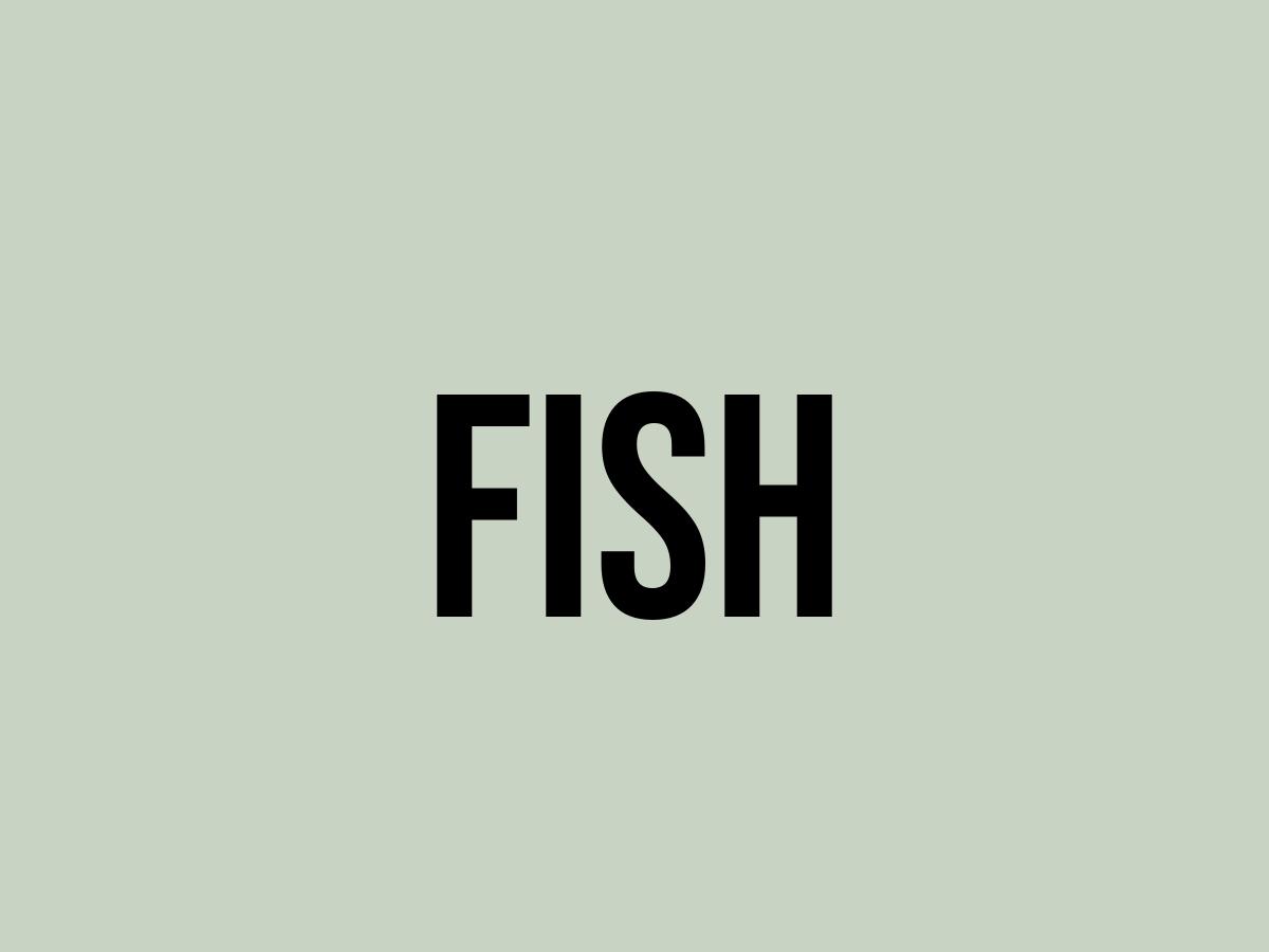 What Does Fish Mean? Meaning, Uses and More FluentSlang