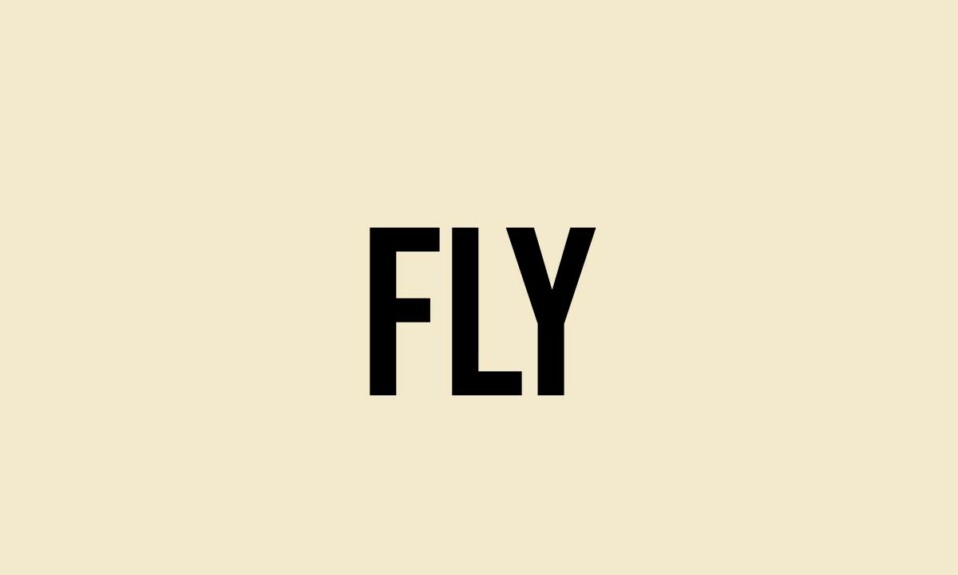 What Does Fly Mean? Meaning, Uses and More FluentSlang