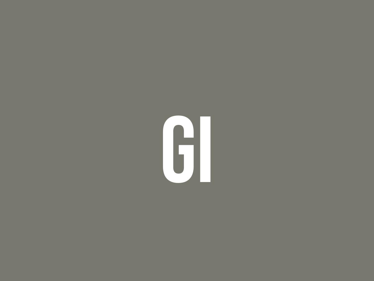 What Does Gi Mean? Meaning, Uses and More FluentSlang