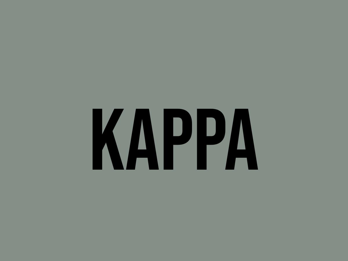 What Does Kappa Mean? Meaning, Uses and More FluentSlang