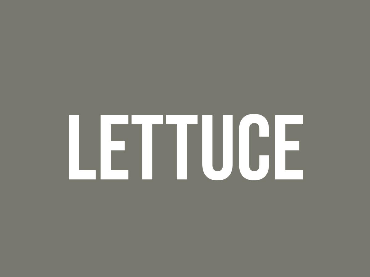 What Does Lettuce Mean? Meaning, Uses and More FluentSlang