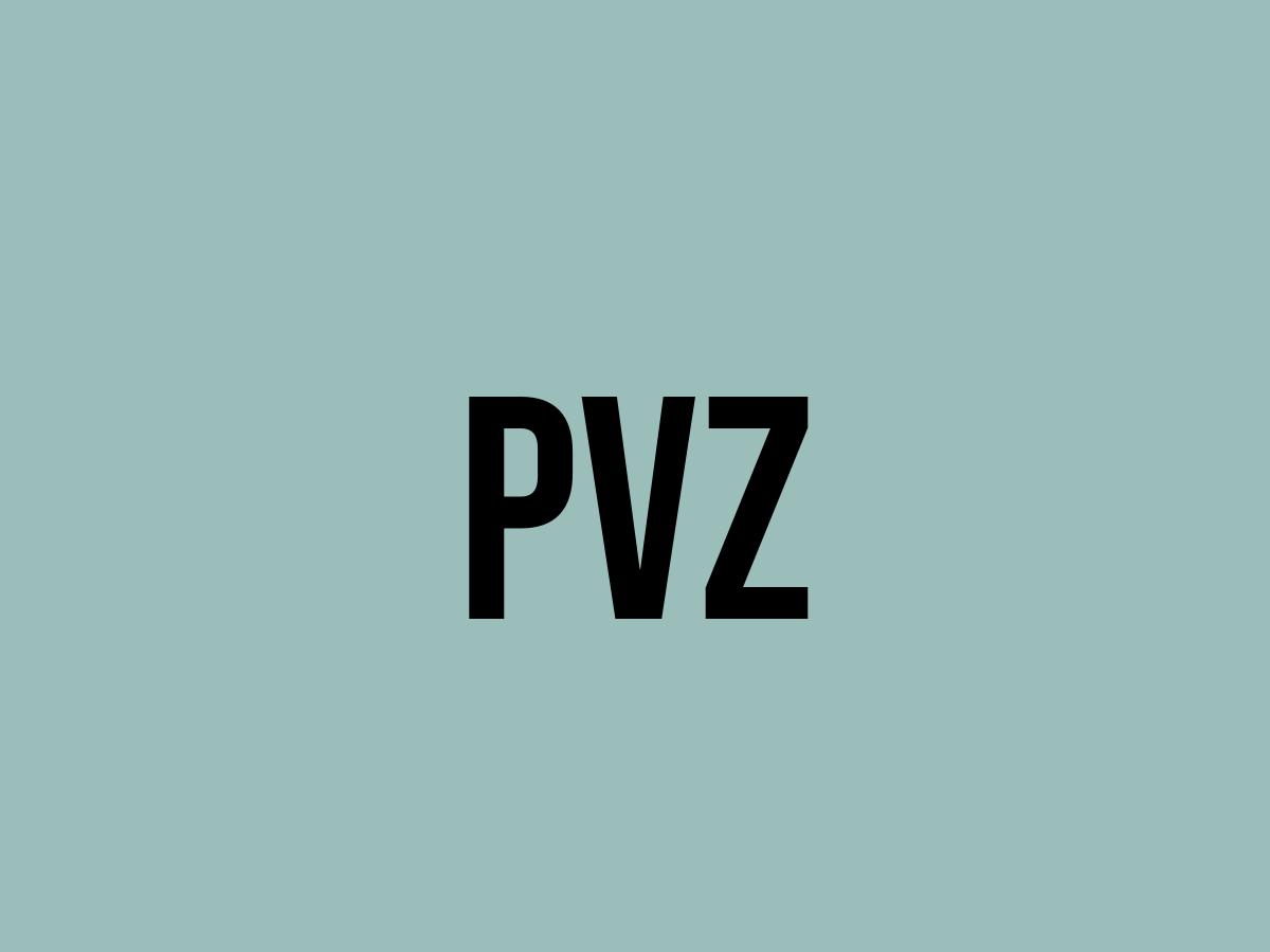 What Does Pvz Mean? Meaning, Uses and More FluentSlang