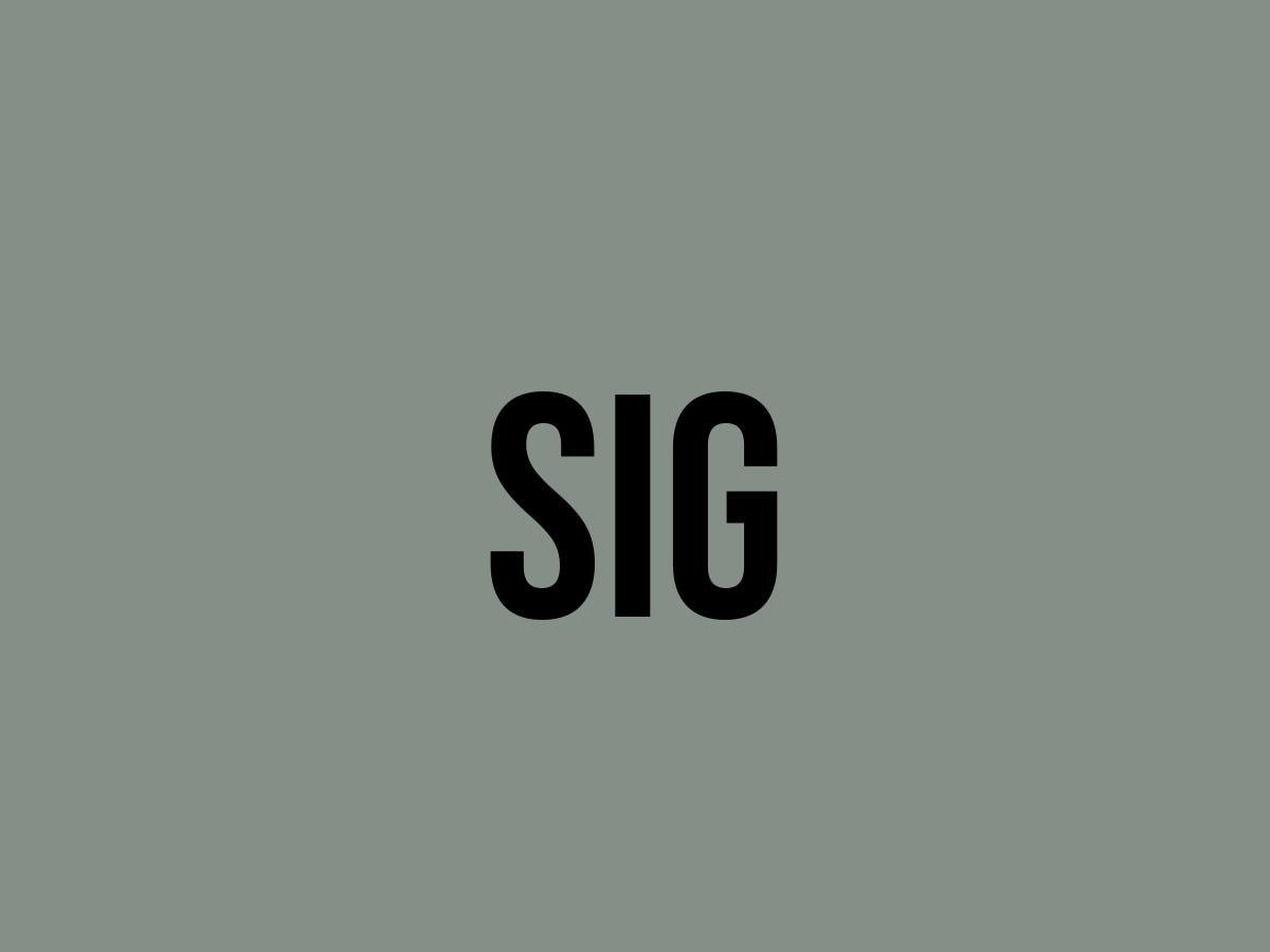 What Does Sig Mean? Meaning, Uses and More FluentSlang