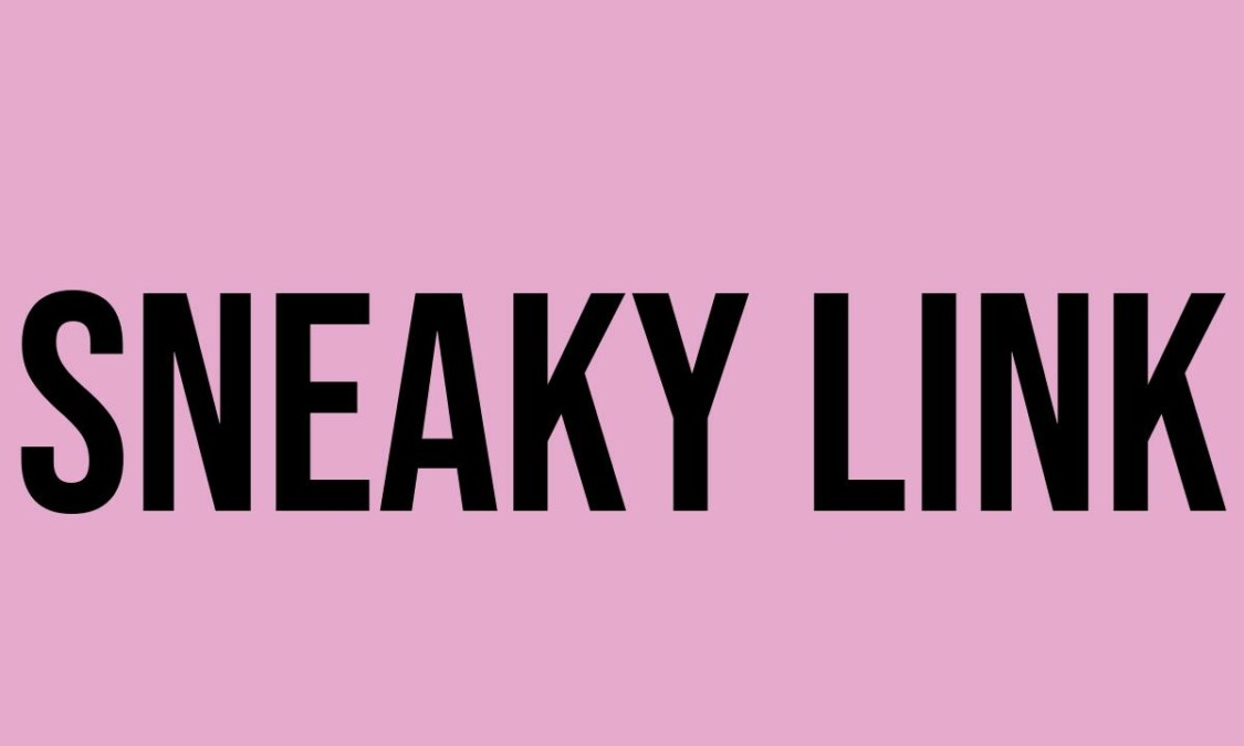 What Does Sneaky Link Mean? Meaning, Uses and More FluentSlang