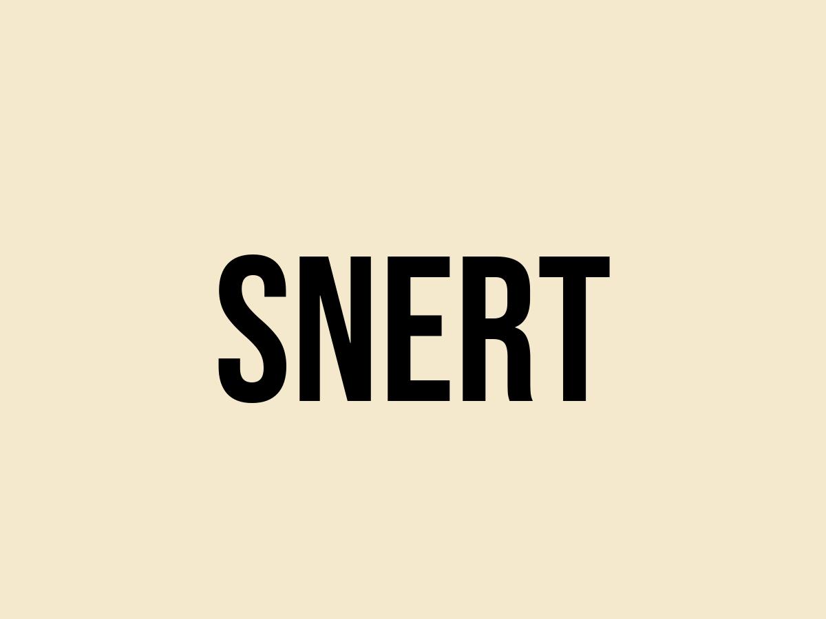 What Does Snert Mean? Meaning, Uses and More FluentSlang