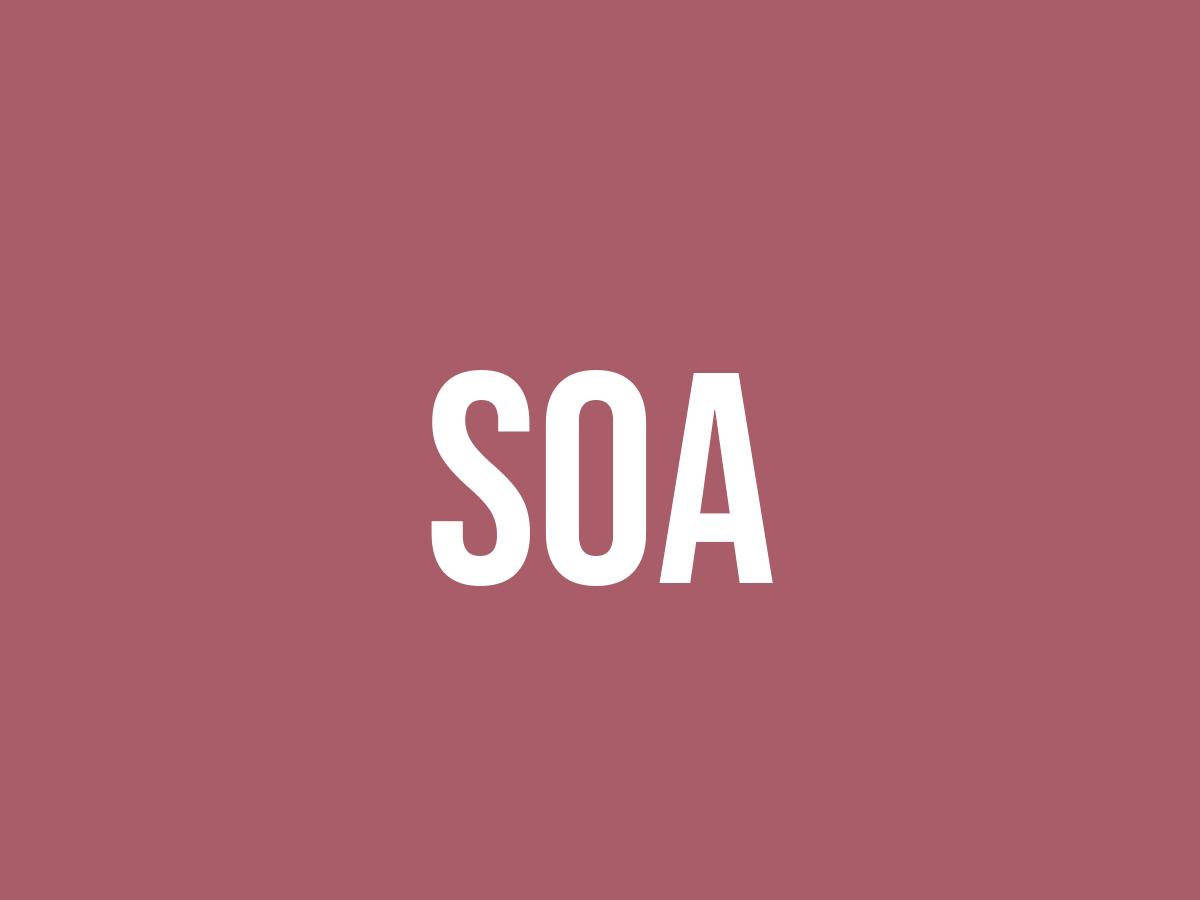 What Does Soa Mean? Meaning, Uses and More FluentSlang
