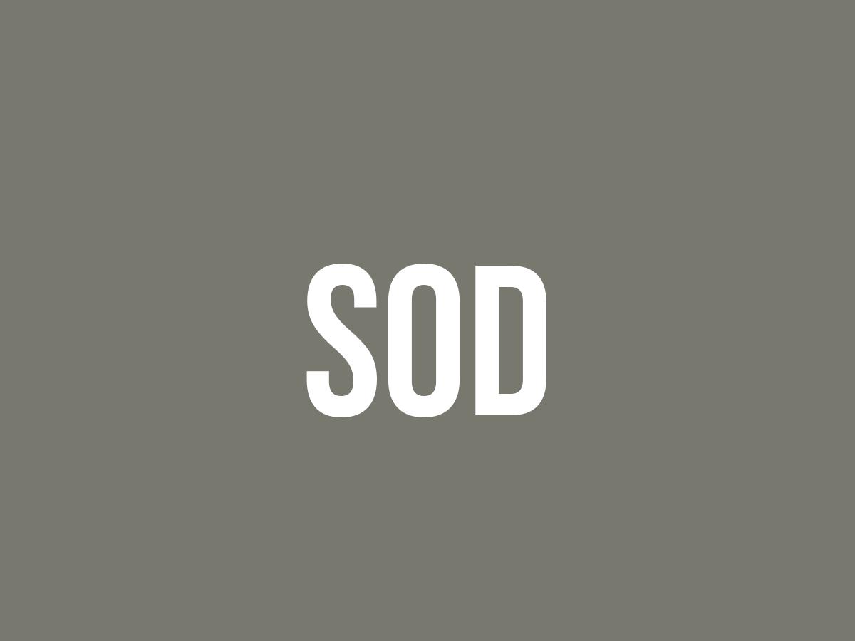 What Does Sod Mean? Meaning, Uses and More FluentSlang