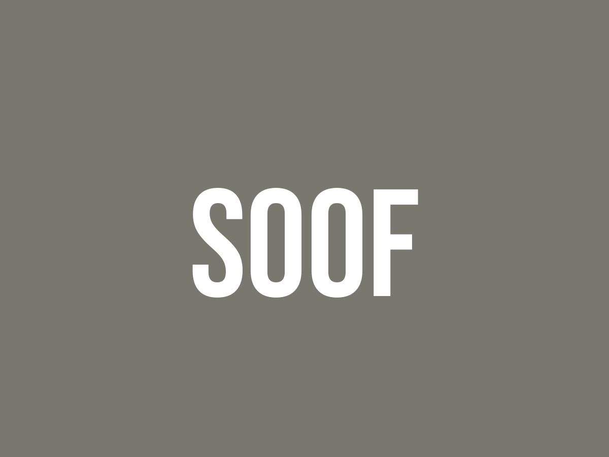 What Does Soof Mean? Meaning, Uses and More FluentSlang