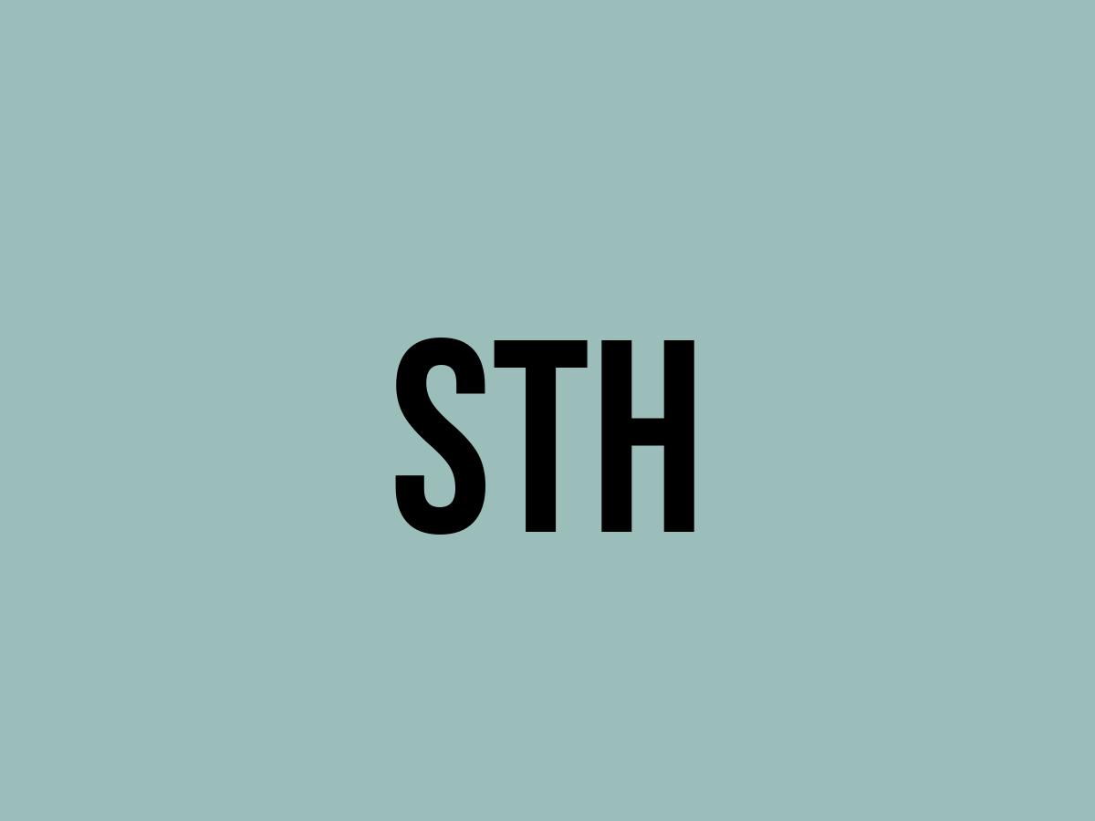 What Does Sth Mean? Meaning, Uses and More FluentSlang