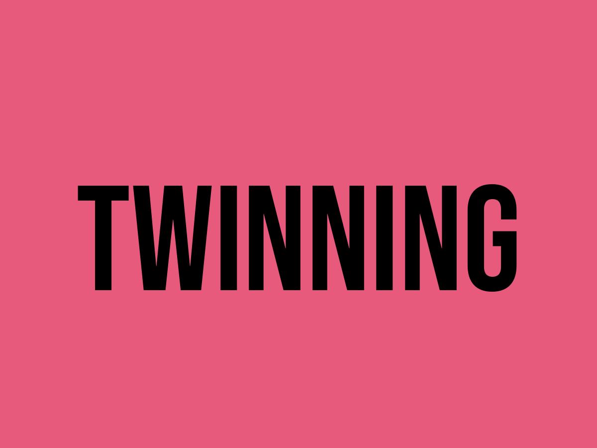 What Does Twinning Mean? Meaning, Uses and More FluentSlang