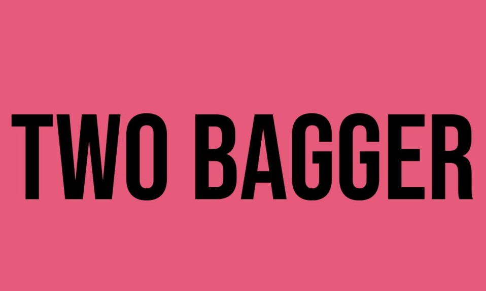What Does Two Bagger Mean? Meaning, Uses and More FluentSlang