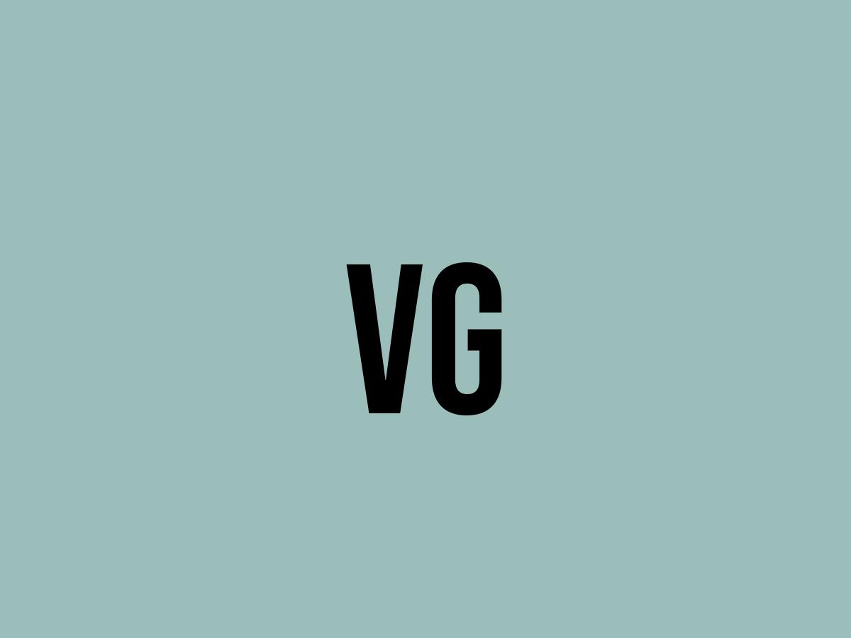 What Does Vg Mean? Meaning, Uses and More FluentSlang