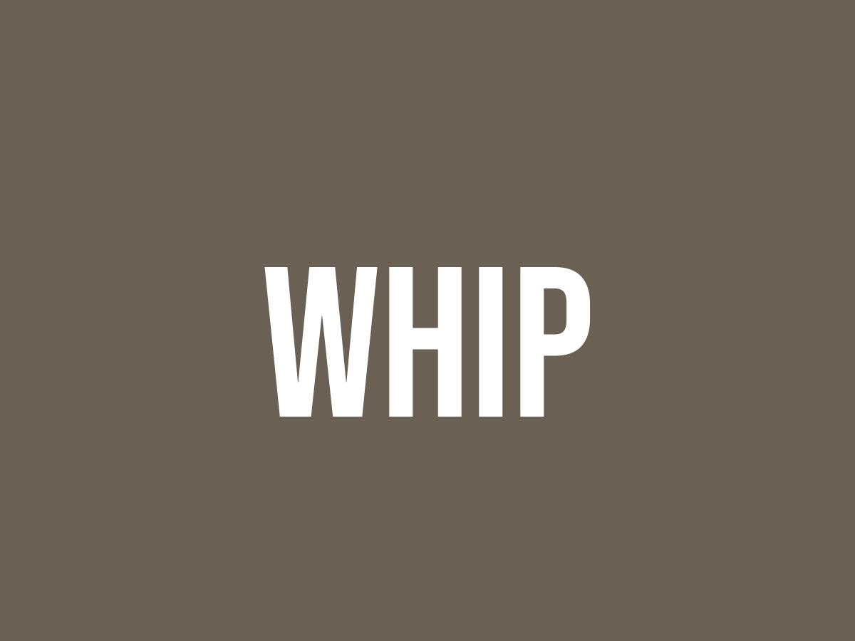 What Does Whip Mean? Meaning, Uses and More FluentSlang
