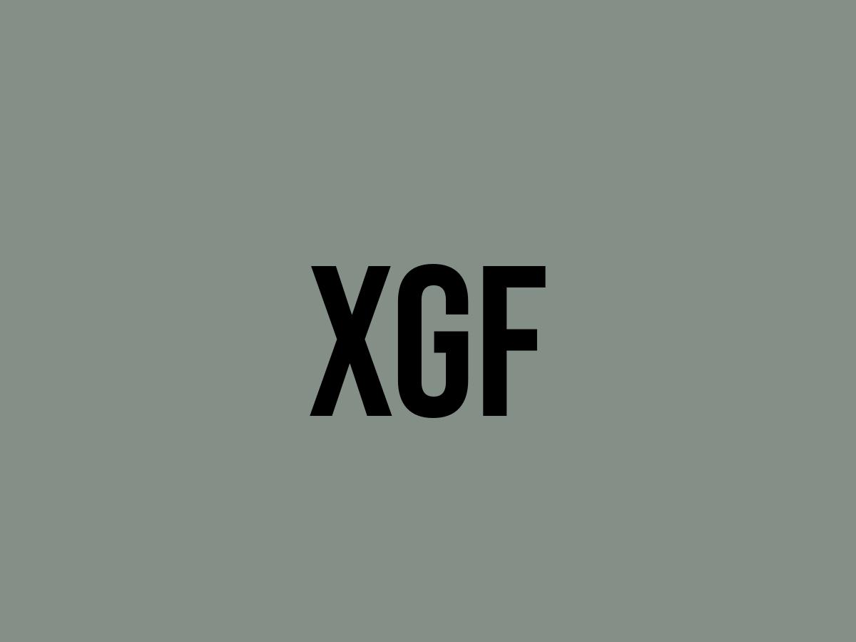 What Does Xgf Mean? Meaning, Uses and More FluentSlang