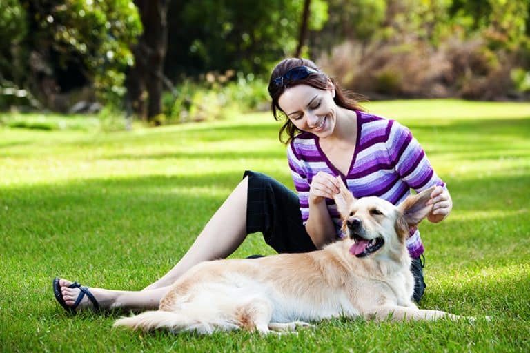 Are You Annoying Your Dog? 56 Things Dogs Hate and Like