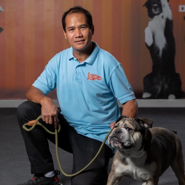 Gallery Fluffies Pet Stop