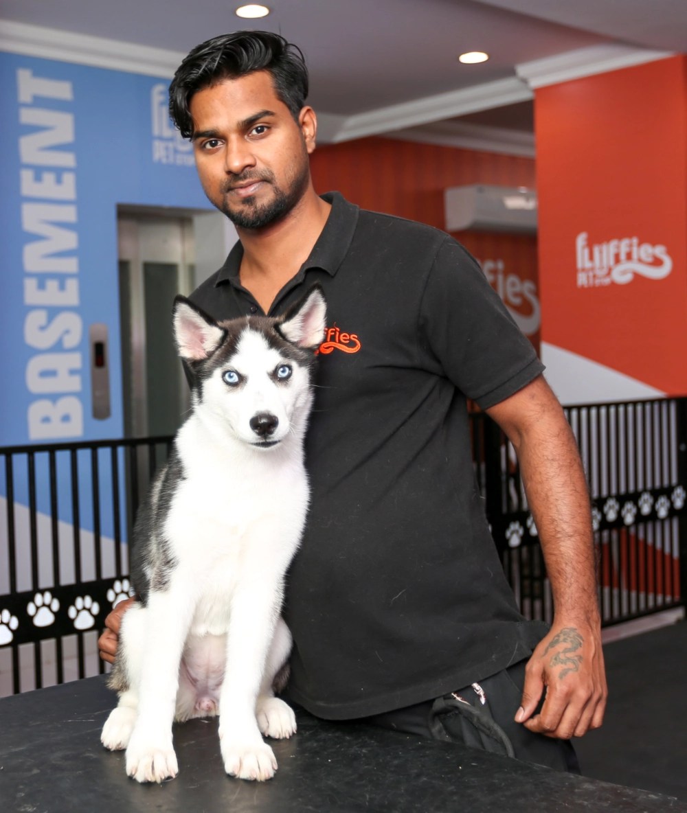 Gallery Fluffies Pet Stop