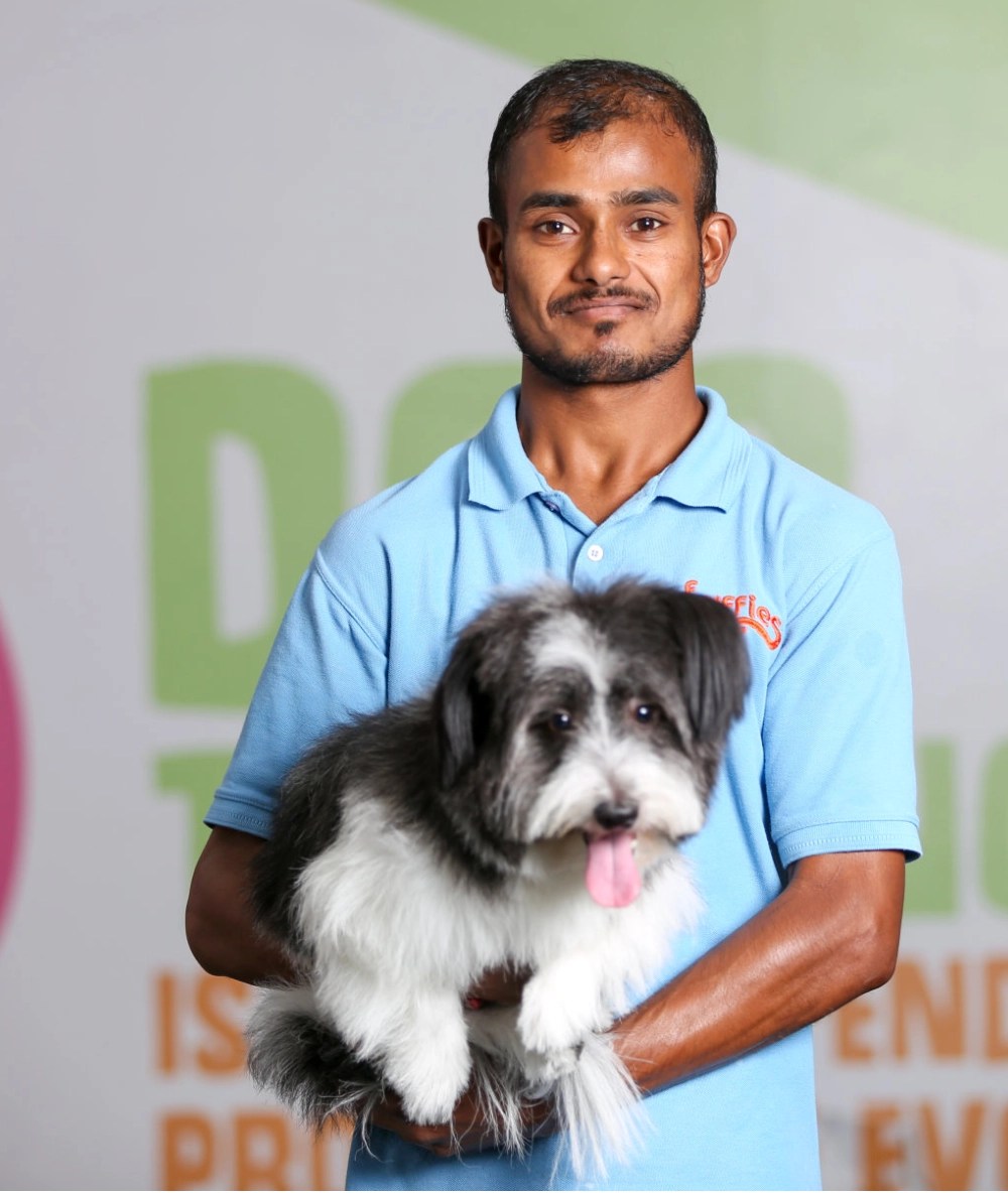 Gallery Fluffies Pet Stop