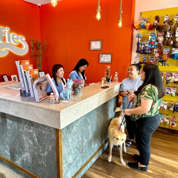 Our Services Fluffies Pet Stop